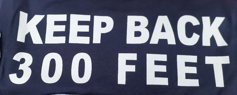 BFD300bk.JPG (38705 bytes)